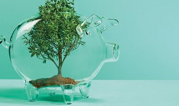 A small tree inside a glass pig ornament